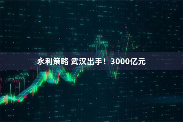 永利策略 武汉出手！3000亿元