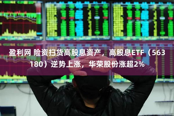 盈利网 险资扫货高股息资产，高股息ETF（563180）逆势上涨，华荣股份涨超2%