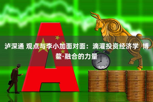 泸深通 观点与李小加面对面：滴灌投资经济学  博鳌·融合的力量